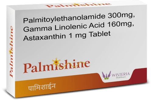 Palmishine