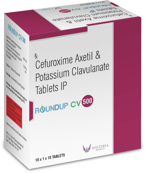 Roundup-CV